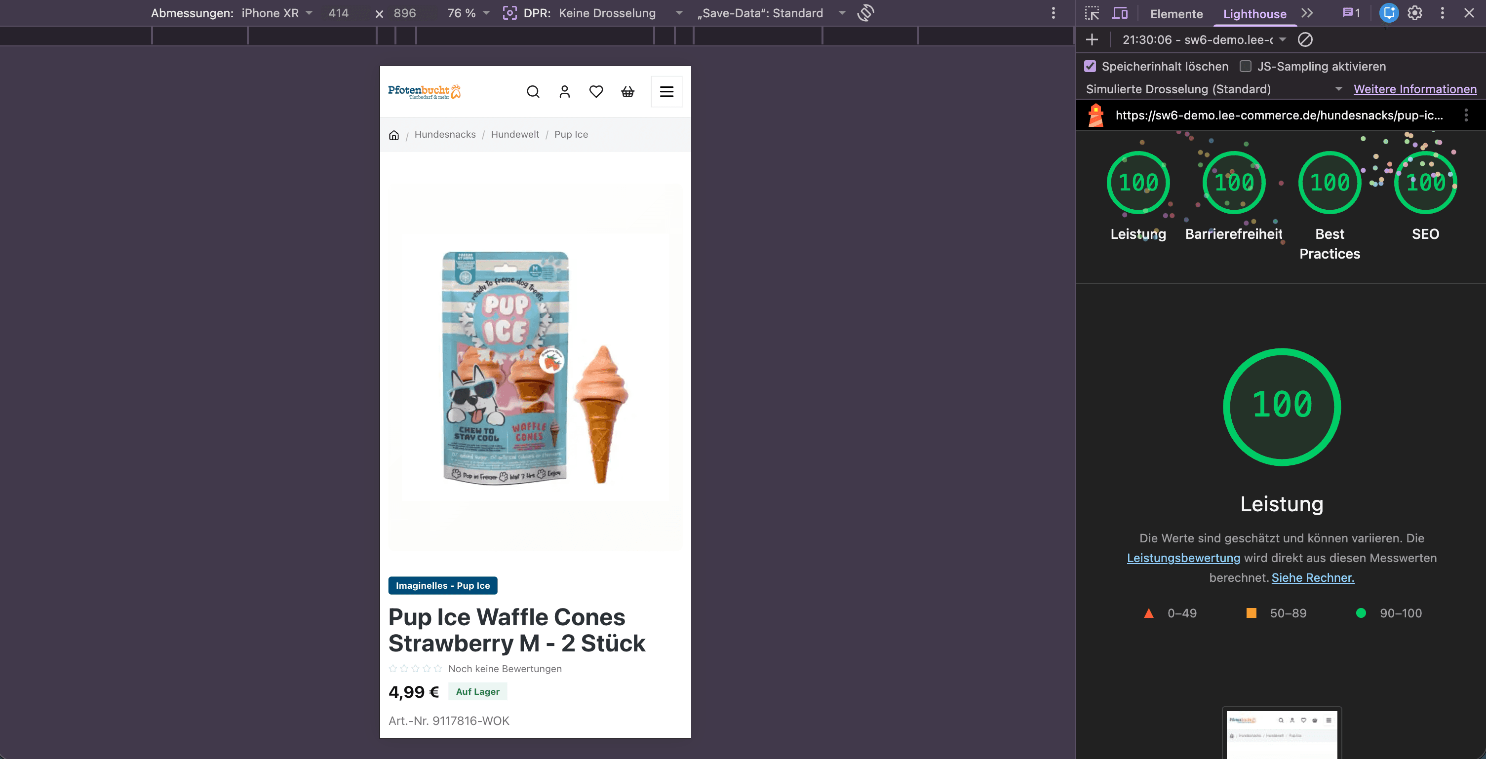 Mobile Custom Storefront mit Lighthouse 100 Audit